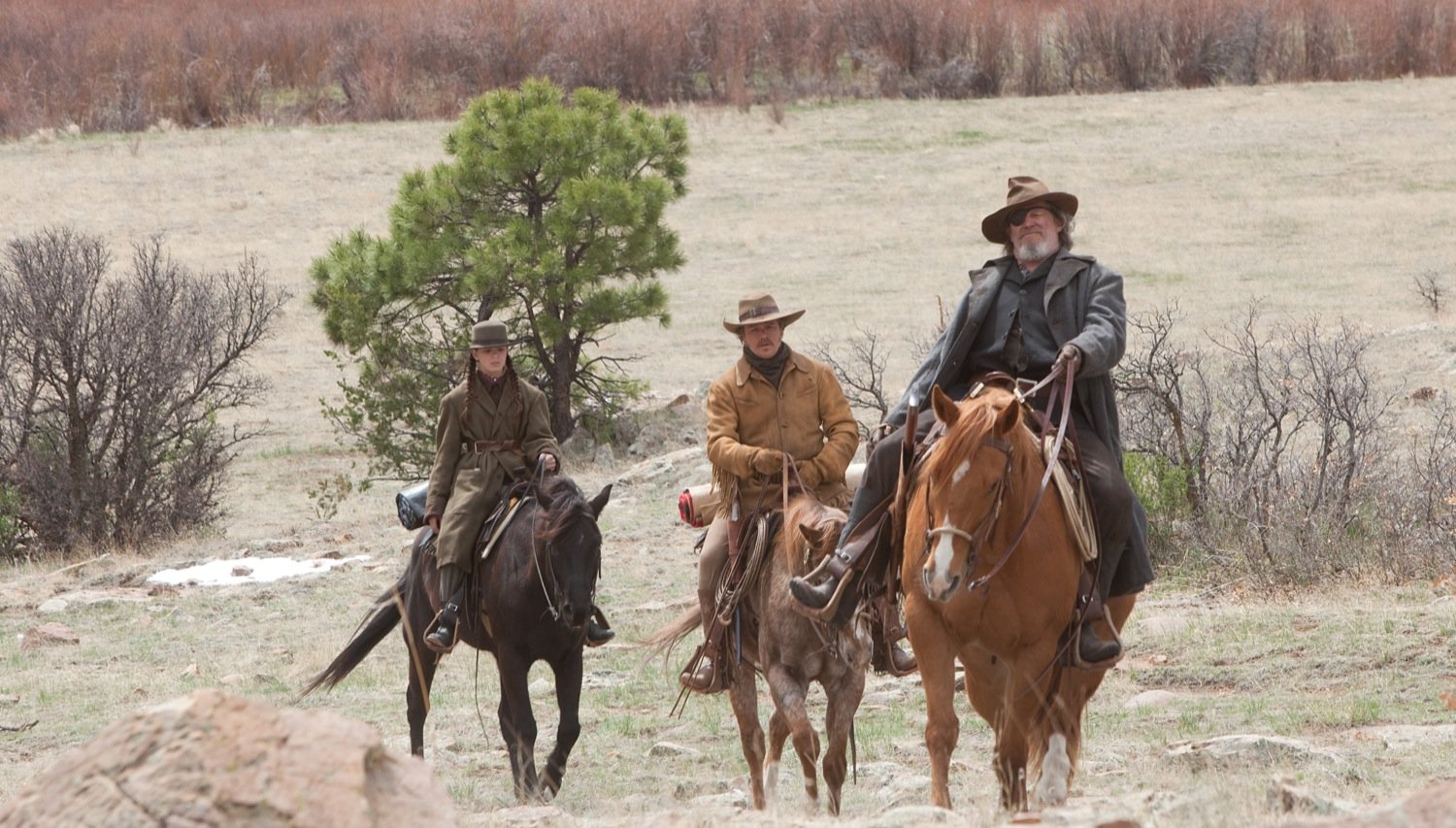 TRUE GRIT