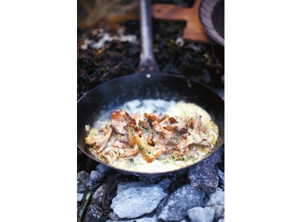 Грибное меню: 7 простых и вкусных рецептов с осенними грибами