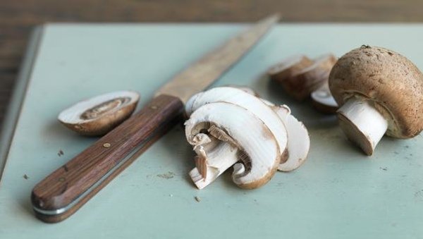 Грибное меню: 7 простых и вкусных рецептов с осенними грибами
