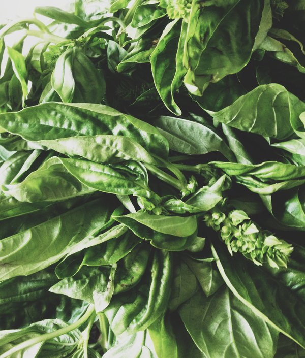 Food-фото: творческие инстинкты palette