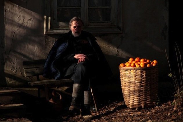 Tangerines-thumb-630xauto-43028