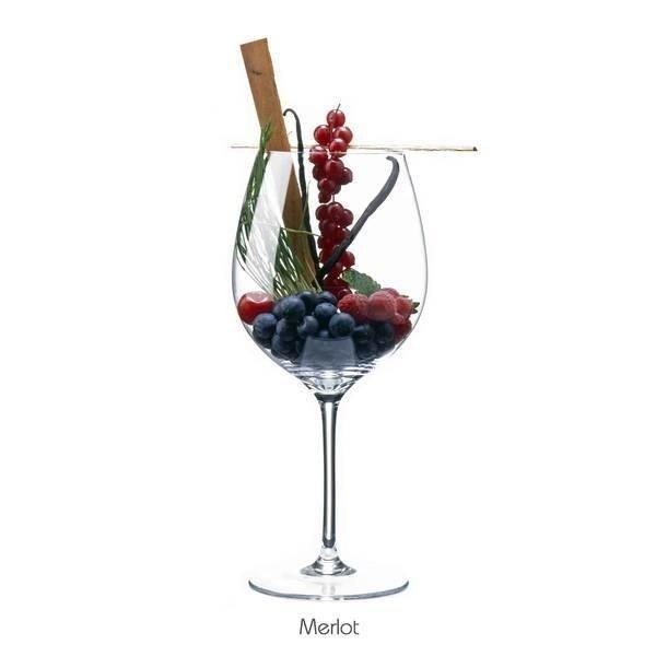 Food-фото: палитра вкуса - наглядная винная ароматика