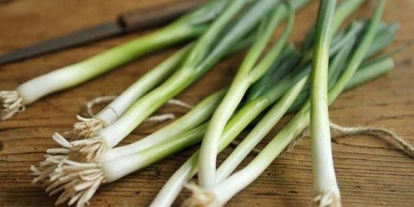 7 весенних рецептов с черемшой, зеленым луком и молодым чесноком