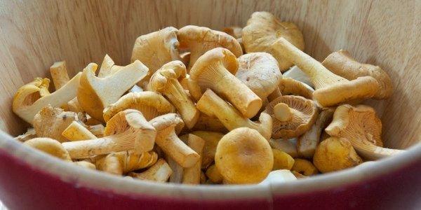 http://fat-of-the-land.blogspot.com/2013/11/pickled-chanterelles_5.html