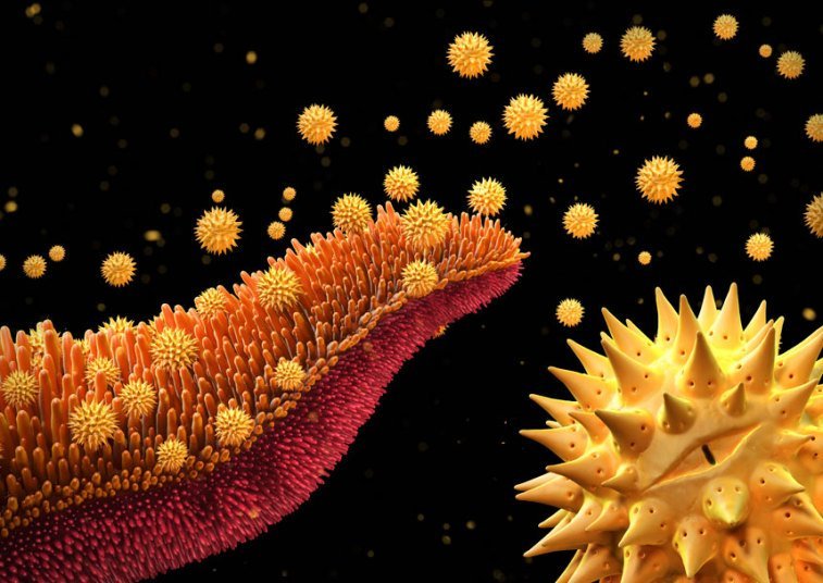 Wellcome-Pollen-gr_3224829k
