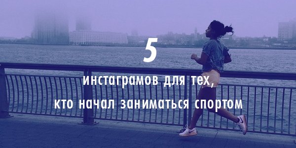 kuda_sait (1)