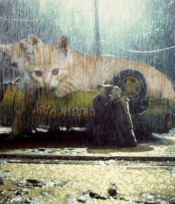 someone-replaced-all-of-the-dinosaurs-in-jurassic-park-with-cats-21-photos-10