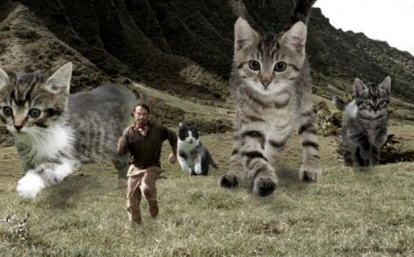 someone-replaced-all-of-the-dinosaurs-in-jurassic-park-with-cats-21-photos-12