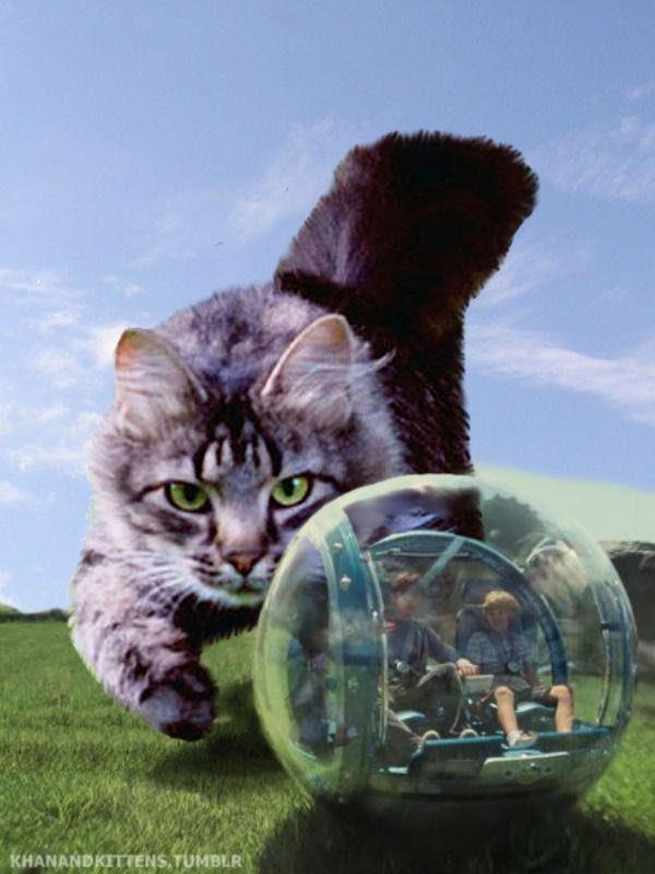 someone-replaced-all-of-the-dinosaurs-in-jurassic-park-with-cats-21-photos-18
