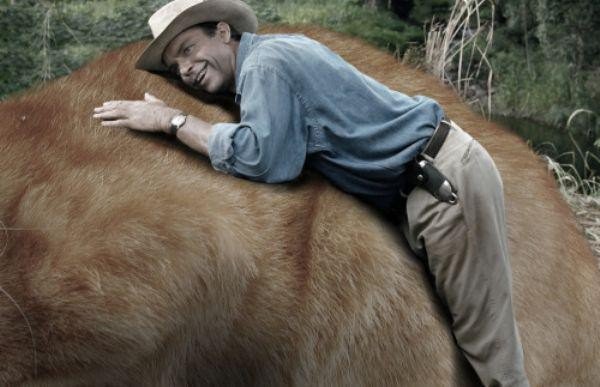 someone-replaced-all-of-the-dinosaurs-in-jurassic-park-with-cats-21-photos-2