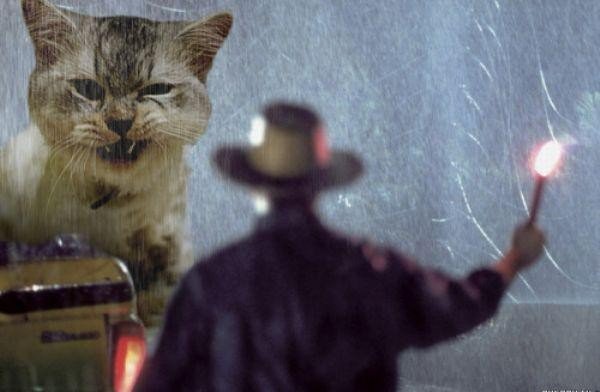someone-replaced-all-of-the-dinosaurs-in-jurassic-park-with-cats-21-photos-4