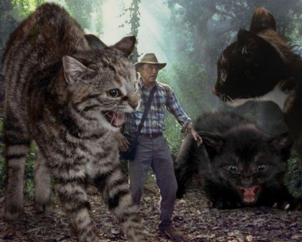 someone-replaced-all-of-the-dinosaurs-in-jurassic-park-with-cats-21-photos-7