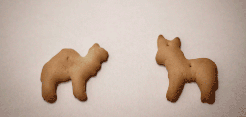 animal-crackers