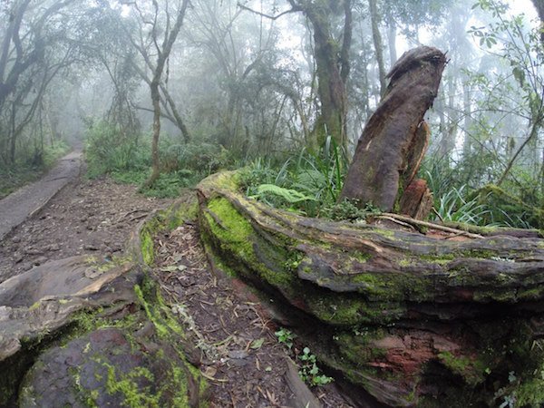 Килиманджаро. День 1. Дорога