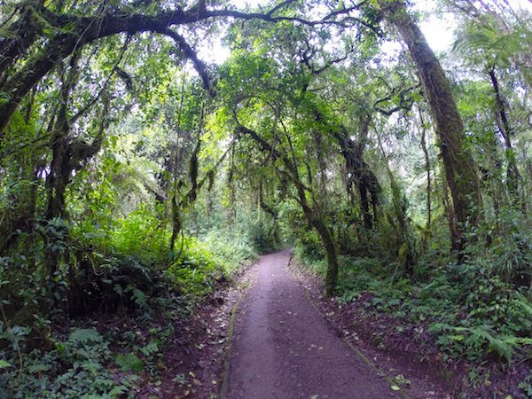 Килиманджаро. Дорога. День 1