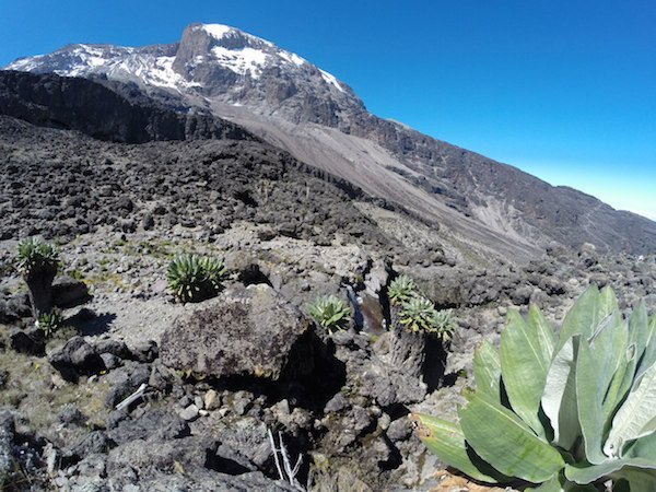 Килиманджаро. Гора