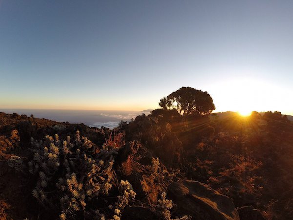 Килиманджаро. Солнце
