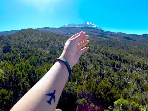 Килиманджаро. Вид