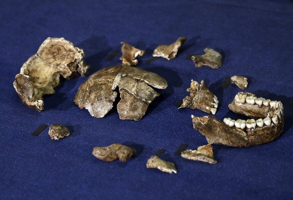 South Africa Human Ancestor