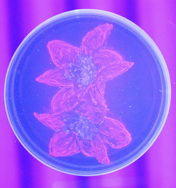 562545f712000026007e56f9