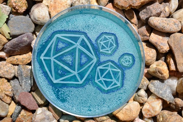 562545f81400002b003c8907