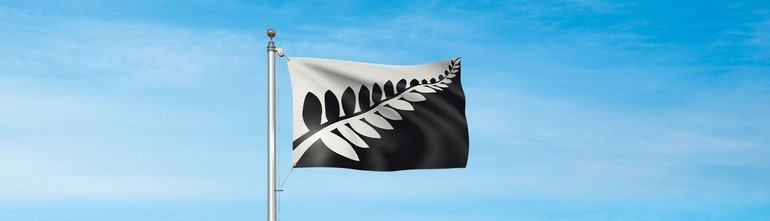 Black-and-white-fern-hero-v2