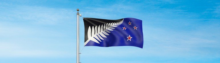 Silver-fern-black-white-and-blue-hero