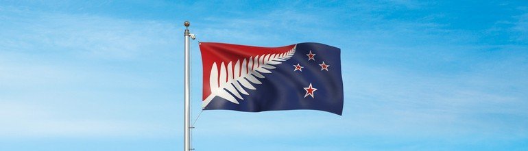 Silver-fern-red-white-and-blue-hero