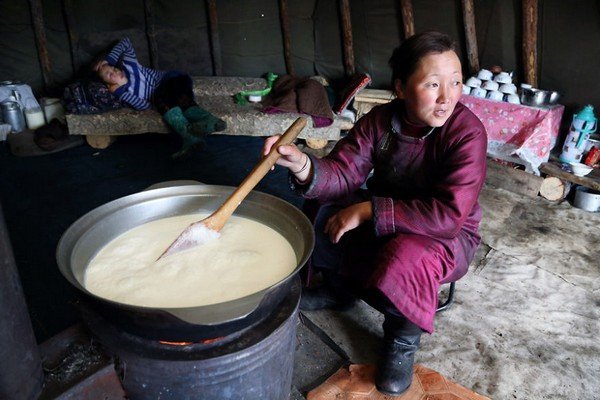 Tsaatan-13__880