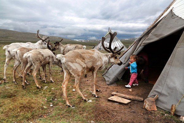 Tsaatan-16__880