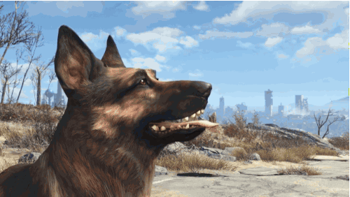 beware-fallout-4-players-frame-rate-issues-are-plaguing-console-owners-705049