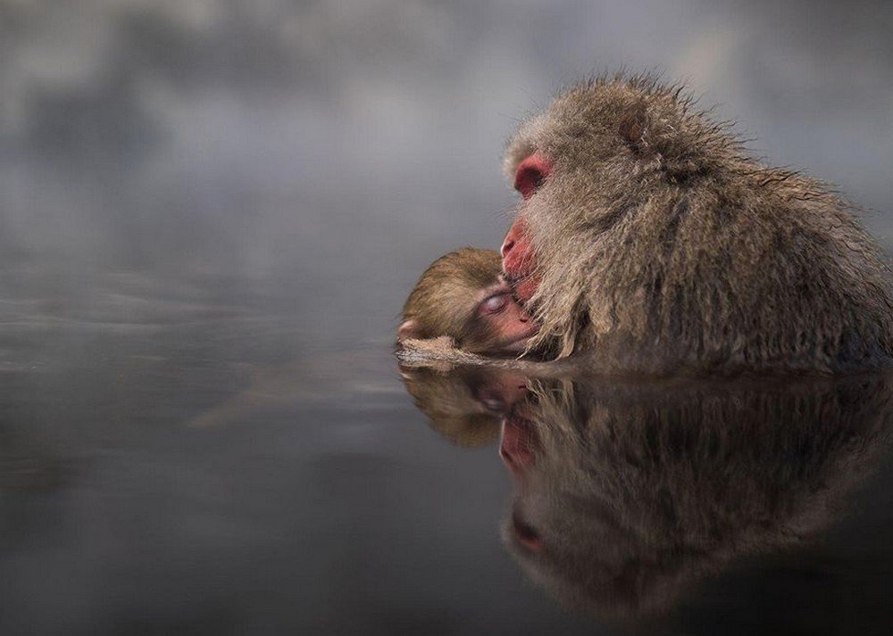 national-geographic-travel-photographer-of-the-year-2016-11__tcp_blog_gallery_image