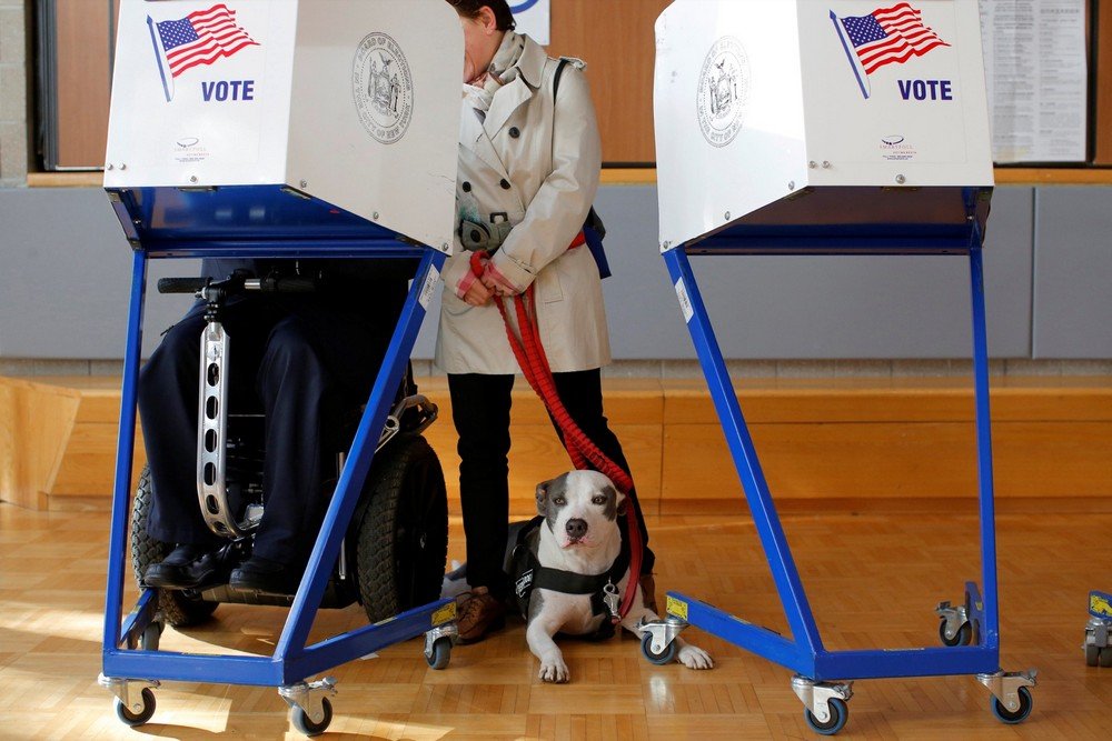 Picasso the pit bull waits as its owner George Gallego fills out his ballot with his wife Julia Gallego during voting for the U.S presidential election at the James Weldon Johnson Community Center in the East Harlem neighborhood of Manhattan, New York, U.S
